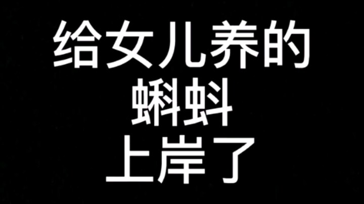 The black tadpoles I saw as a kid were actually toadlets.