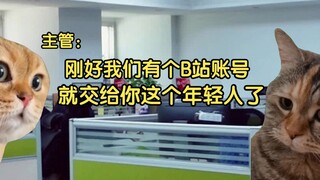 【猫meme】00后实习生入职新媒体行业成为媒体人的一天