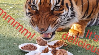 Tigers reaction to more types of food !