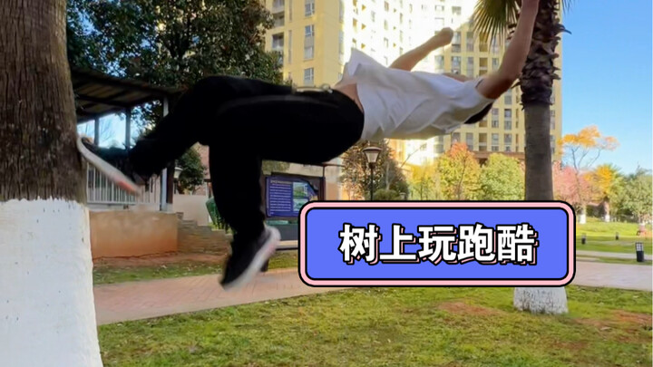 Cùng bạn bè thi đấu parkour trên cây, các bạn thấy động tác nào đẹp nhất?