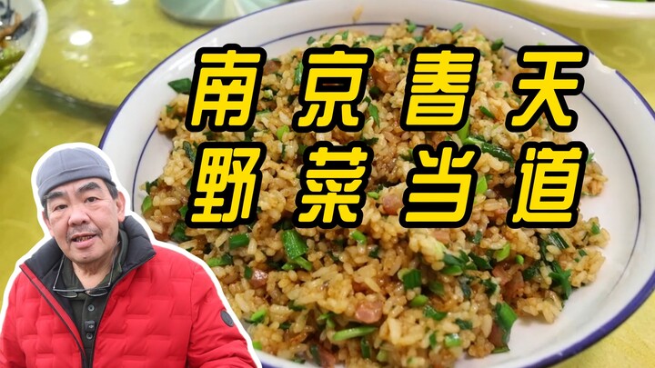 【一口吃下江南的春天】南京春天，野菜当道！