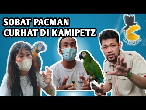(OBRAS) OBROLAN SERU BARENG PACMAN DI ACARA KAMIPETZ RUMAH SARWONO