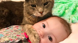 ทารกและแมวน่ารักเล่นด้วยกัน - โฮมวิดีโอที่สนุกที่สุด 2020