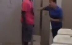 معدات سبيكة تنهض للانتقام