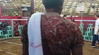 November 1, first fights panalo 💪💪💪💪👏👏👏
