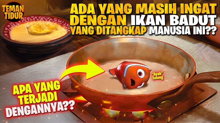 KANGEN GAK DENGAN IKAN BADUT SATU INI?‼️GIMANA YA KABARNYA‼️
