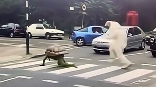 ครั้งนี้กระต่ายชนะแล้ว