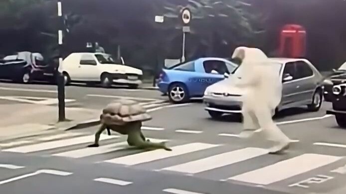 هذه المرة فاز الأرنب.