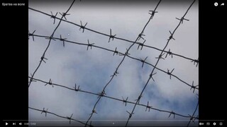 братва на воле. Musik