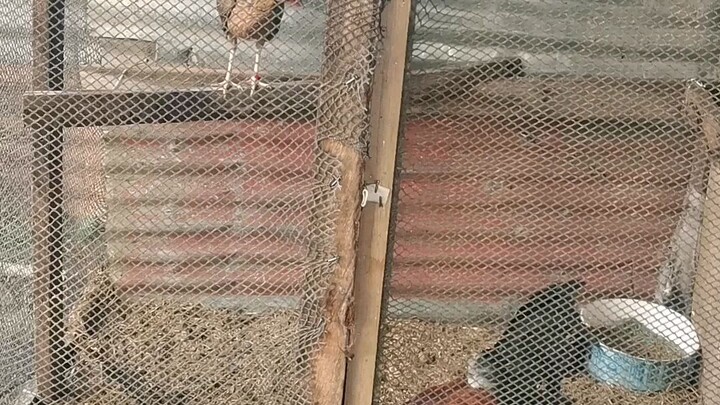 Can't wait to see the results