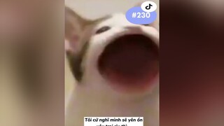 new trend ? frozend_grp❄ nhachaymoingay music xuhuong edit anime anime tokyorevengers sanzuharuchiyo xh TikTokDieuKy AnCungTikTok tiktok