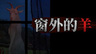 每天晚上我家的羊，会在窗外站着看着我