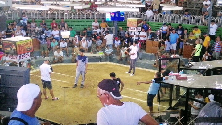 UNSCRATCH!!!! AMAZING