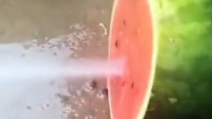 This watermelon is so juicy...!