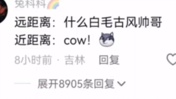 Dari jauh: wow~   Dari dekat: sapi!