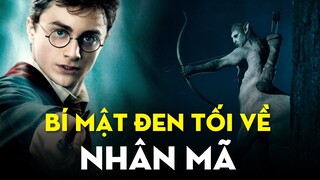 Kẻ thông thái nhất giới pháp thuật - Nhân Mã | Bí mật ẩn đằng sau | Harry Potter | Ten Tickers