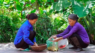 Cuộc sống an nhiên ở thôn quê của hai mẹ con I Peaceful Life In The Countryside I Ẩm Thực Mẹ Làm