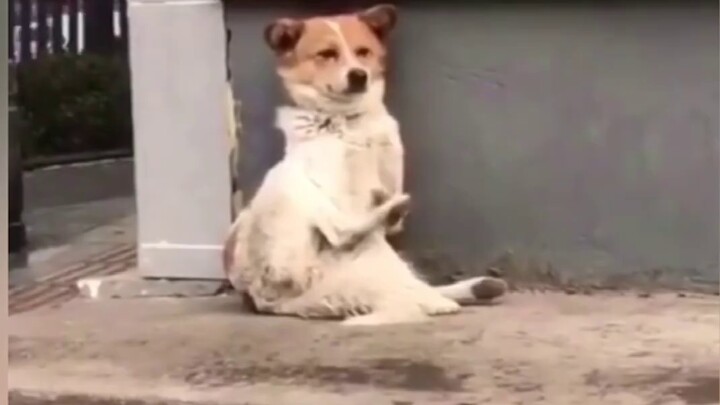 Current status of Sky: Children of the Light players running around