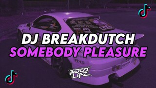 DJ SOMEBODY PLEASURE  || BREAKDUTCH BOOTLEG FULL BASS TERBARU 2024 [NDOO LIFE]