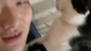 宠物沟通师？算命再就业！！！！