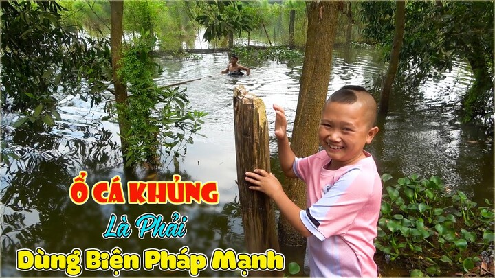 MAO ĐỆ ĐỆ PHÁT HIỆN Ổ CÁ SIÊU KHỦNG - Dùng Biện Pháp Mạnh Để Đánh Ổ Cá Và Cái Kết