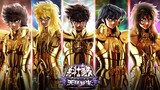 Pegasus Seiya  Animated