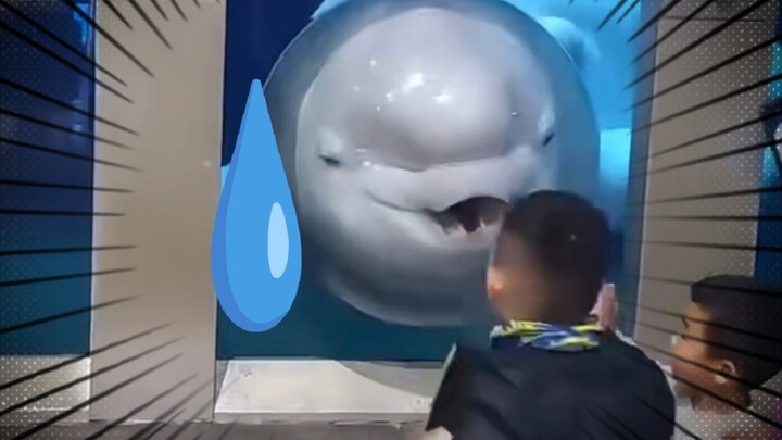 Failed to scare the elementary school students—has the enraged white whale entered its second phase?