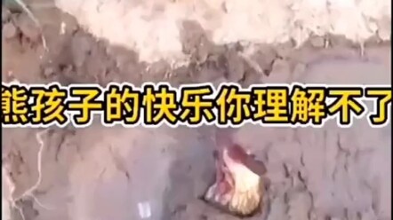 ทำไมถึงเอาพี่ชายมาฝังไว้ที่นี่ล่ะ!