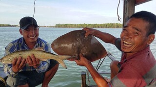 Đi biển bắt trúng 2 con Cá Lớn đem về Làm Thịt nấu ăn | Ngư Dân Miền Tây