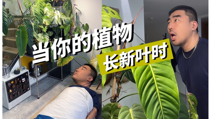 人间真实｜当你的植物要长新叶子时