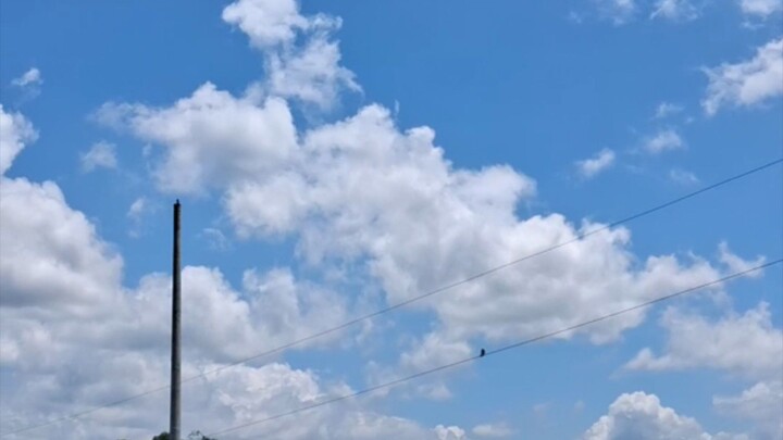 Sky video #sky #foryou