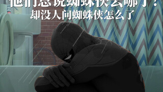 "They always ask where did Spider-Man go? But no one says what happened to Spider-Man."