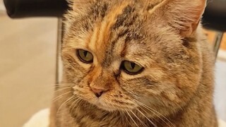 But I don't eat that much...