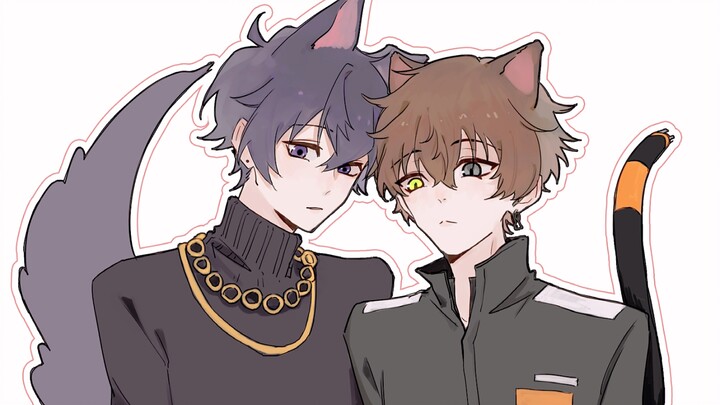 pertarungan kucing dan anjing