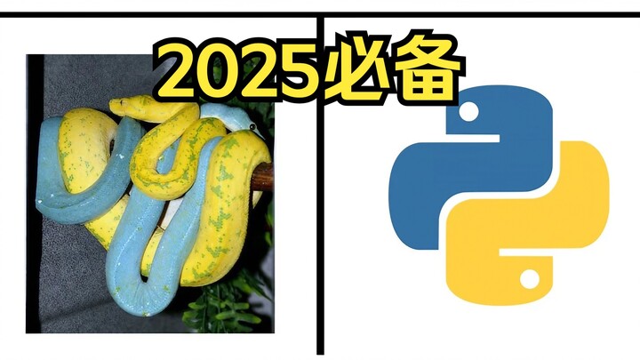 5 Must-Know Python Tools Essential for 2025