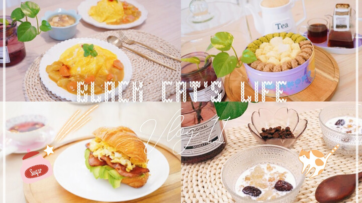 【Black Cat's Cooking Vlog 11】Three Meals a Day: Healing, Slow-Life Cuisine for Solo Dining | Avocado