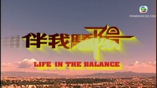 [Phim điện ảnh] Chân Lý Cuộc Sống | Trần Tuệ San, Tần Bái