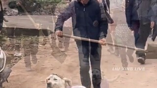 "إذهب! إذهب! إذهب!"