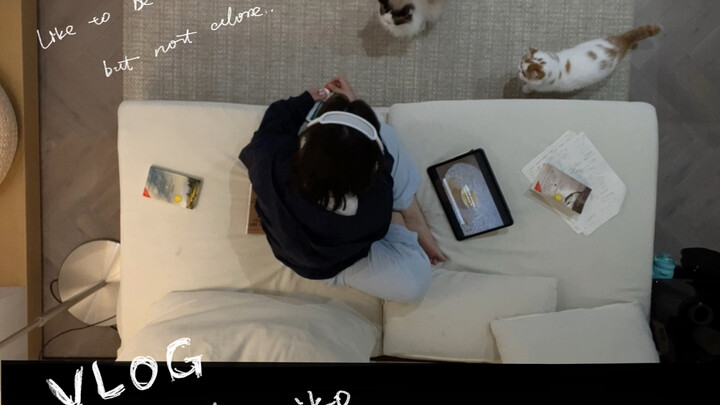 กิจวัตรประจำวันของคน introvert｜ให้กำลังใจตัวเองให้ผ่านวันนี้ไปให้ได้ก่อน｜ทำอาหารง่ายๆ แบบสุนัข｜จัดระ