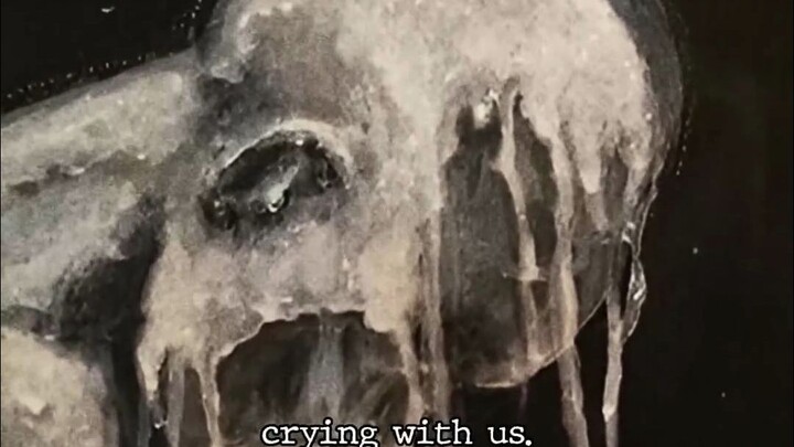 We Once Were