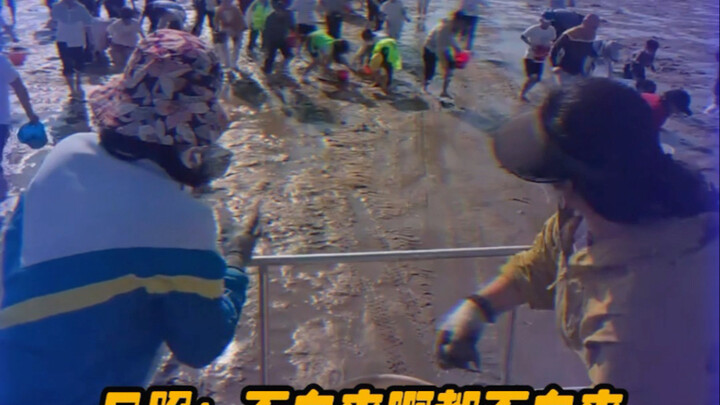 ريتشاو، سانيا، إيربين، أنت حقًا تعتني بالسياح جيدًا