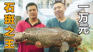 I spent 10,000 yuan on a fish, which cost me half a month's salary. I haven't dared to tell my wife 