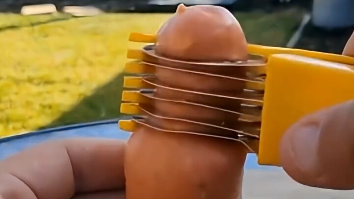 Sagawa’s Daily Life Vlog