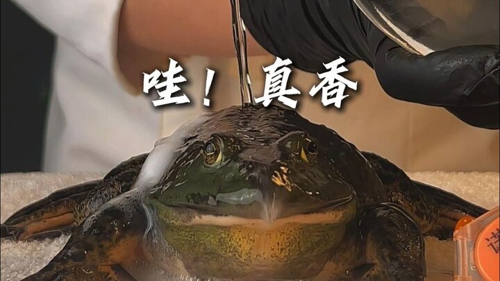 บะหมี่กบฮาร์เล็ม