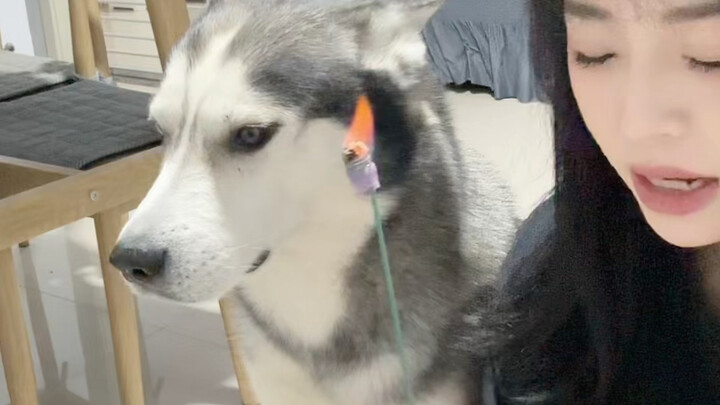 Sangat canggung, sangat canggung