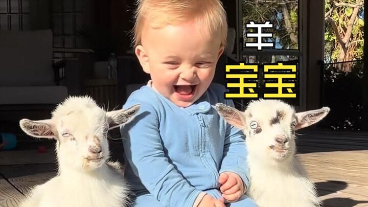 Those heartwarming animal videos!