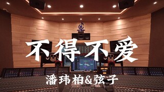 استمع إلى أغنية "Have to Love You" لـ Pan Weibo و Xian Zi في استوديو تسجيل بمليون دولار [دقة عالية]
