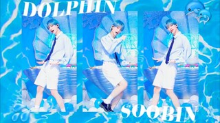 【Choi Soo Bin】Ba triệu đô Straight Shot làm mới Ocean Boy Dolphin MC Nhóm nhạc nữ Nhảy Straight Shot