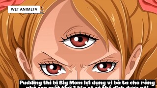 Top 6 Thiếu Nữ Dại Trai Nhất Trong One Piece #14 5