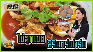 ไข่ลูกเขยสิรินทร์ฟาร์ม - คนฟาร์มทำครัว EP.53